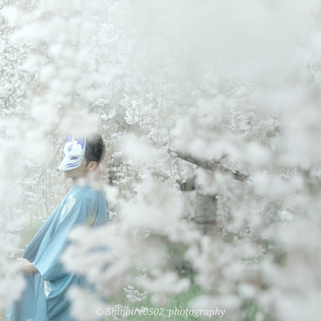 狐面と桜のポートレート写真